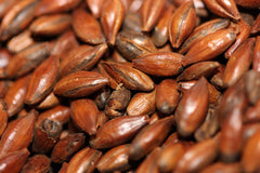 Specialty Grains