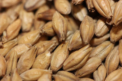 Base Malts: American and Canadian Malted Barley