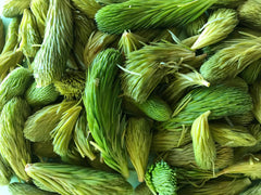 Spruce Tips-must choose Priority Mail for shipping!!!